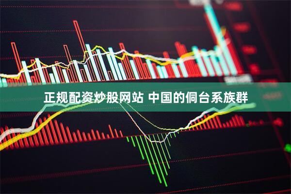 正规配资炒股网站 中国的侗台系族群