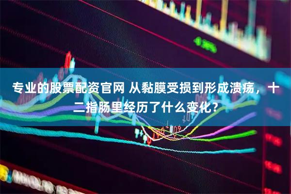 专业的股票配资官网 从黏膜受损到形成溃疡，十二指肠里经历了什么变化？